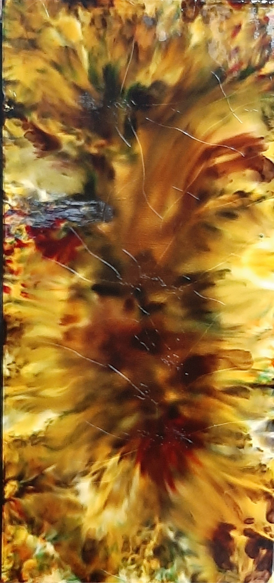 Anenome 2020 by Fiction Art
