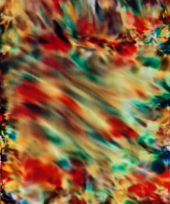 Catch the Wind by Fiction Art