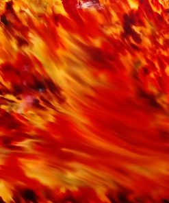 Phoenix 2022 Collection by Fiction Art